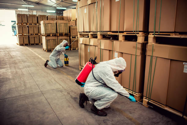 Best Wasp Removal Services  in Beaumont, CA