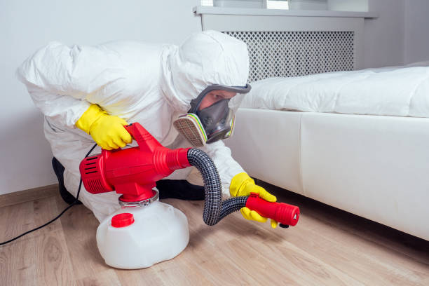 Best Pest Prevention Services  in Beaumont, CA