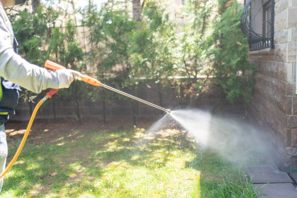 Best Pest Control for Homes  in Beaumont, CA