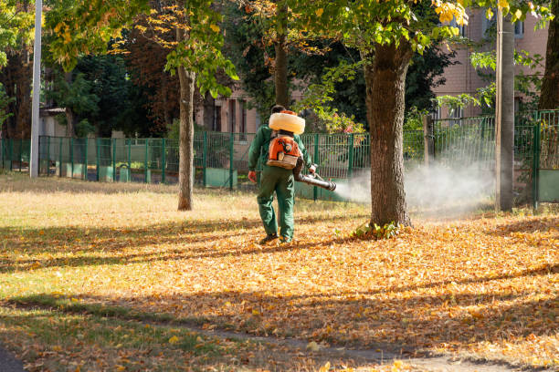 Trusted Beaumont, CA Pest Control Experts